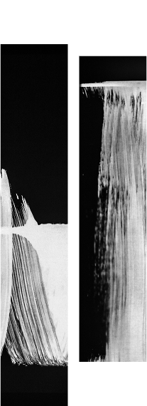 From 10 to 250+ Students & Growing